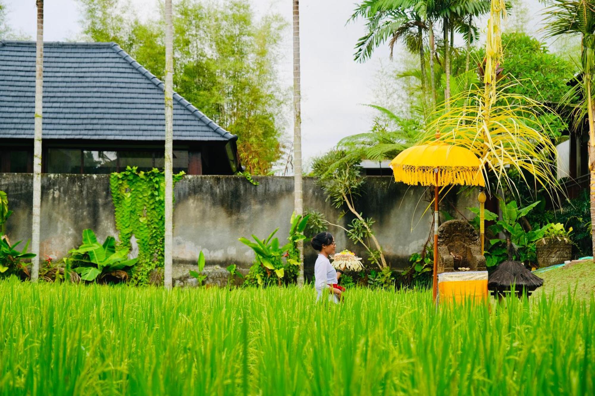 Wana Karsa The Villas Ubud Eksteriør bilde